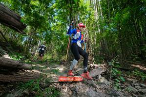 BIB: 
                            <button type="button" onclick="openModal(19392935)" class="btn btn-primary btn-sm float-right btn-popup" data-toggle="modal" data-target=".modal-high-quality">
                        <i class="fas fa-shopping-cart"></i> Add to Cart
                    </button>
                                            <button type="button" onclick="isThisMe(19392935, true)" class="btn btn-success btn-sm float-right btn-popup btn-isme hidden" data-toggle="tooltip" data-placement="bottom" title="นี่คือรูปของคุณใช่ไหม คลิกที่นี่เพื่อเอาเข้าอัลบั้ม">
                        <i class="fas fa-plus"></i> Add to album
                    </button>
                    <button type="button" onclick="isThisMe(19392935, false)" class="btn btn-warning btn-sm float-right btn-popup btn-isnotme hidden">
                        <i class="fas fa-ban"></i> Remove from album
                    </button>